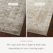 SNN-08 GREY / SAGE