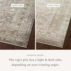 SNN-08 GREY / SAGE