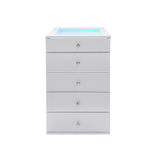 SlayStation® 5 Drawer Display Storage w/ RGB Lighting