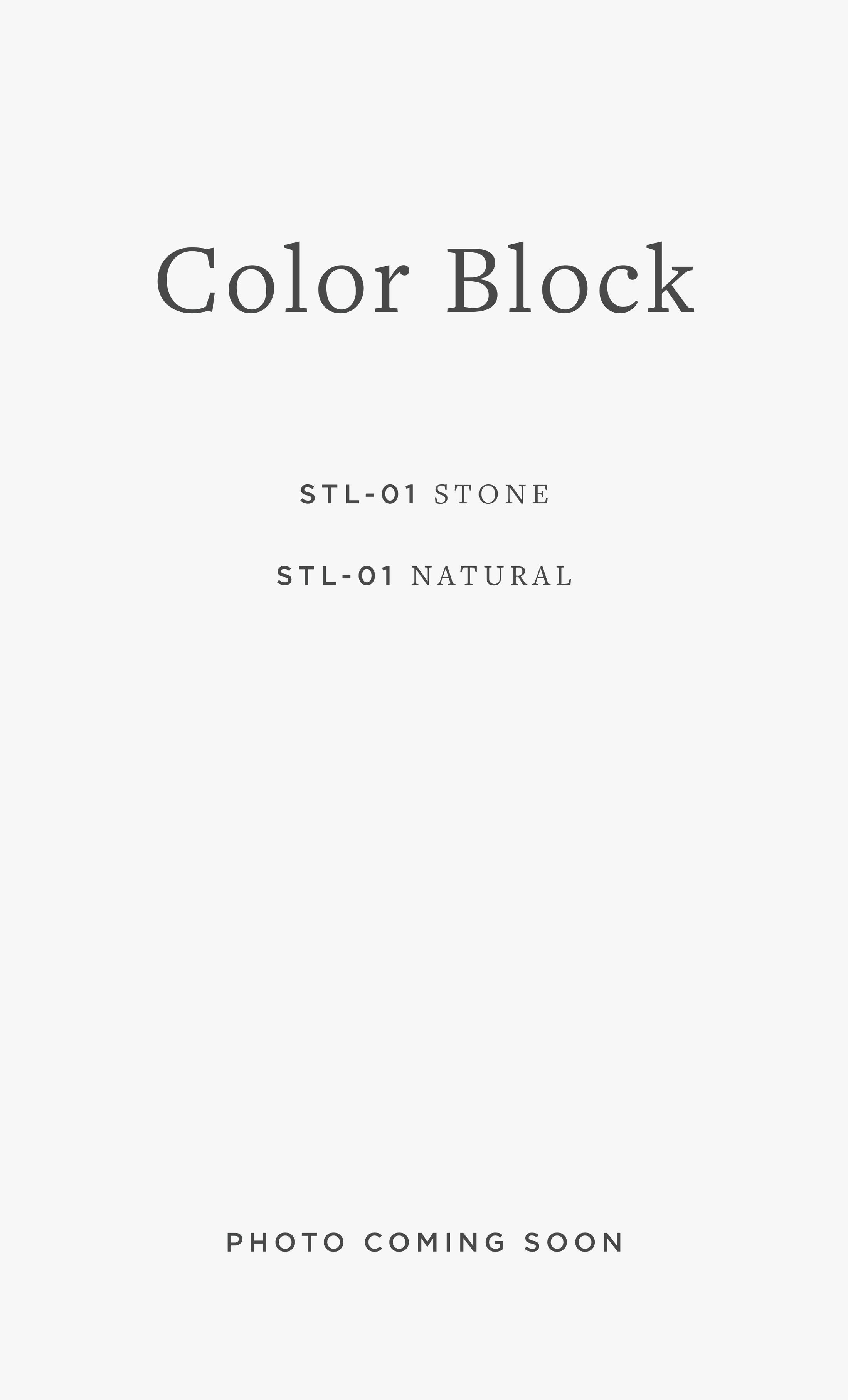 STL-01 COLOR BLOCK / 02