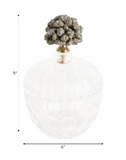 Rexrose Clear Jar 8"(in)