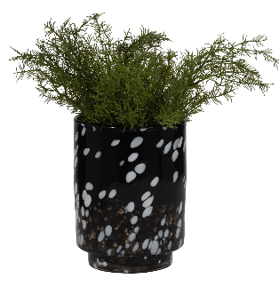 Bakerwood Black Glass Vase 9" (in)