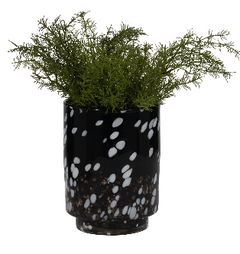 Bakerwood Black Glass Vase 9" (in)