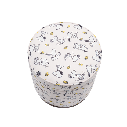 Peanuts™ Snoopy Vanity Storage Ottoman