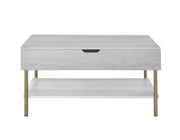Whitman Lift-Top Cocktail Table in White & Metal