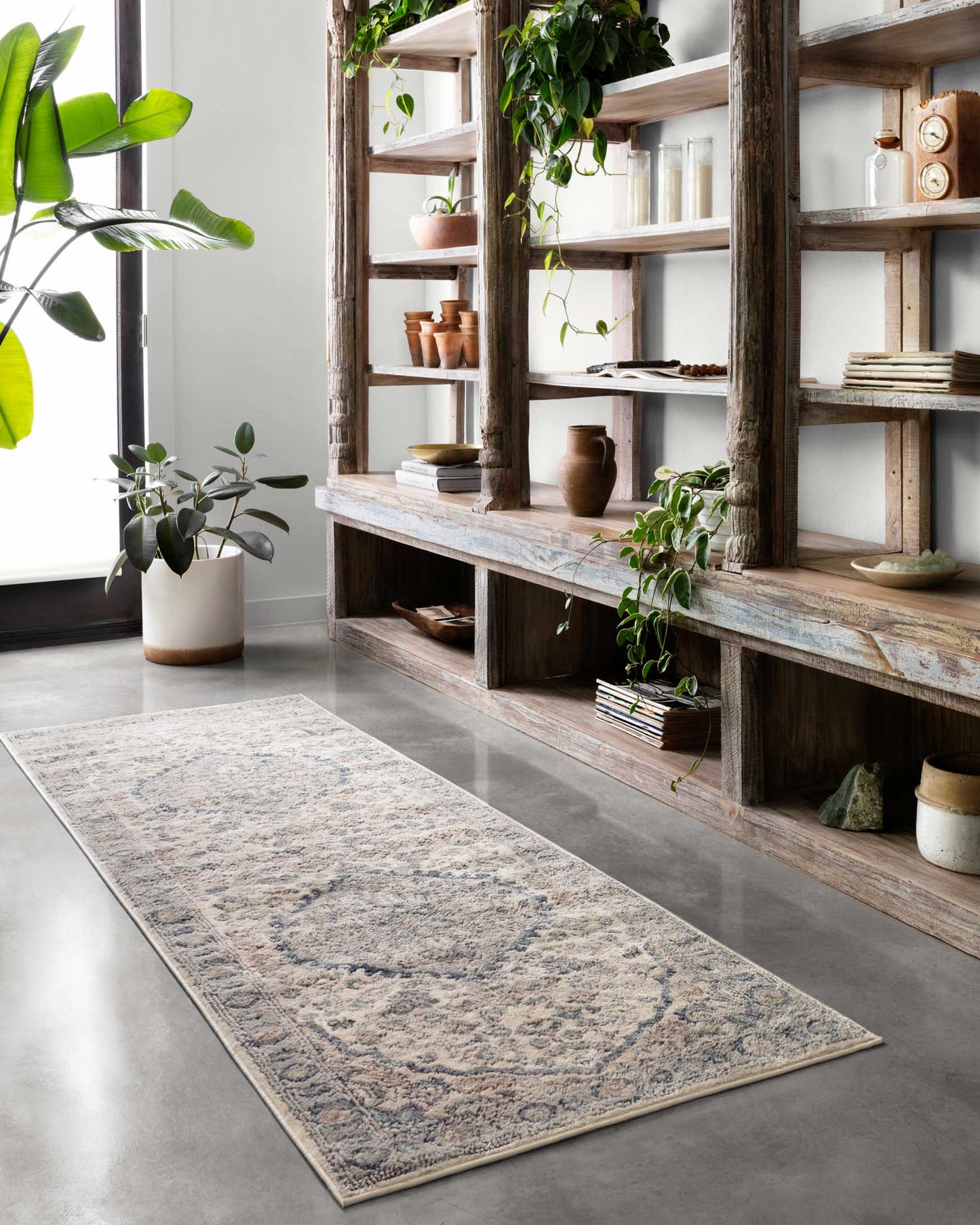 Loloi Teagan TEA-01 Natural / Gris Claro