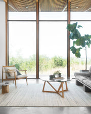 roomscene