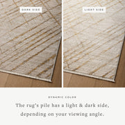 WAE-04 BEIGE / GOLD