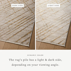 WAE-04 BEIGE / GOLD