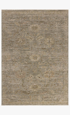 WIA-06 SAGE / MULTI