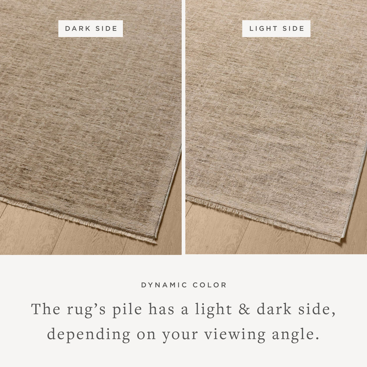 WIT-01 TAUPE / BONE