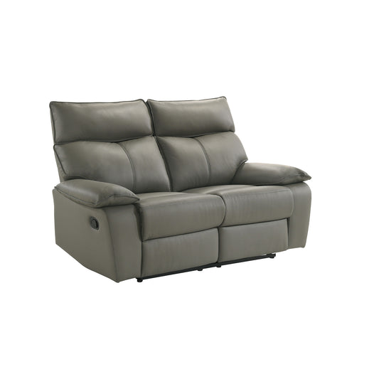 Wildcat Motion Loveseat in Aviarah Grey