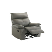 Wildcat Motion Recliner in Aviarah Grey