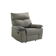 Wildcat Motion Recliner in Aviarah Grey