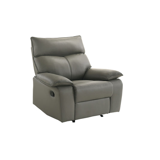 Wildcat Motion Recliner in Aviarah Grey