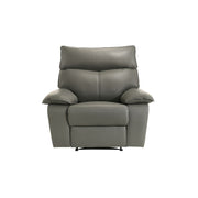 Wildcat Motion Recliner in Aviarah Grey
