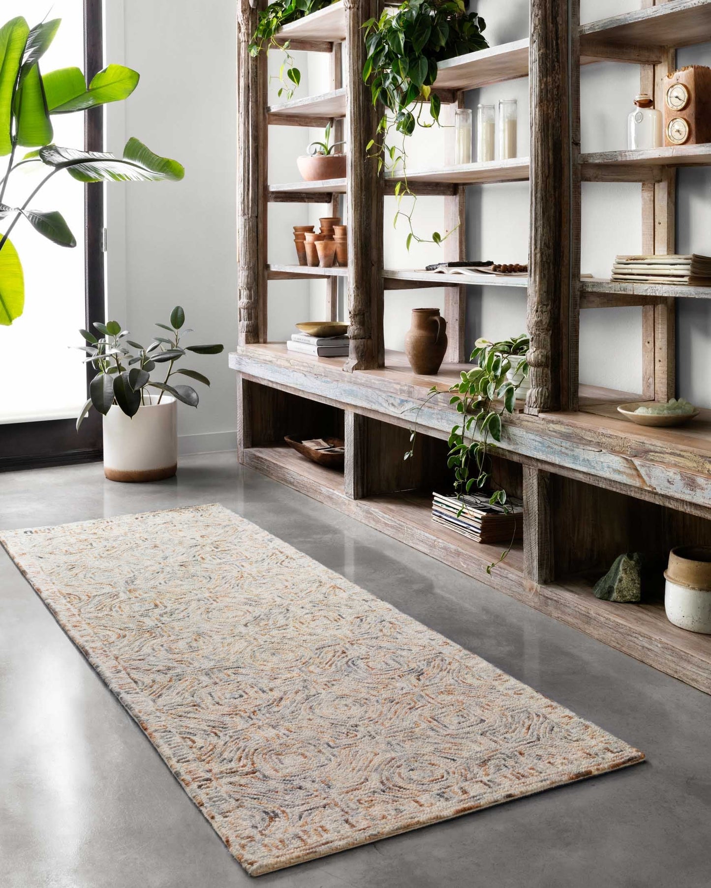 Loloi Ziva ZV-02 Multi