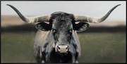 Majestic Longhorn Hand-embellished Canvas in Frame