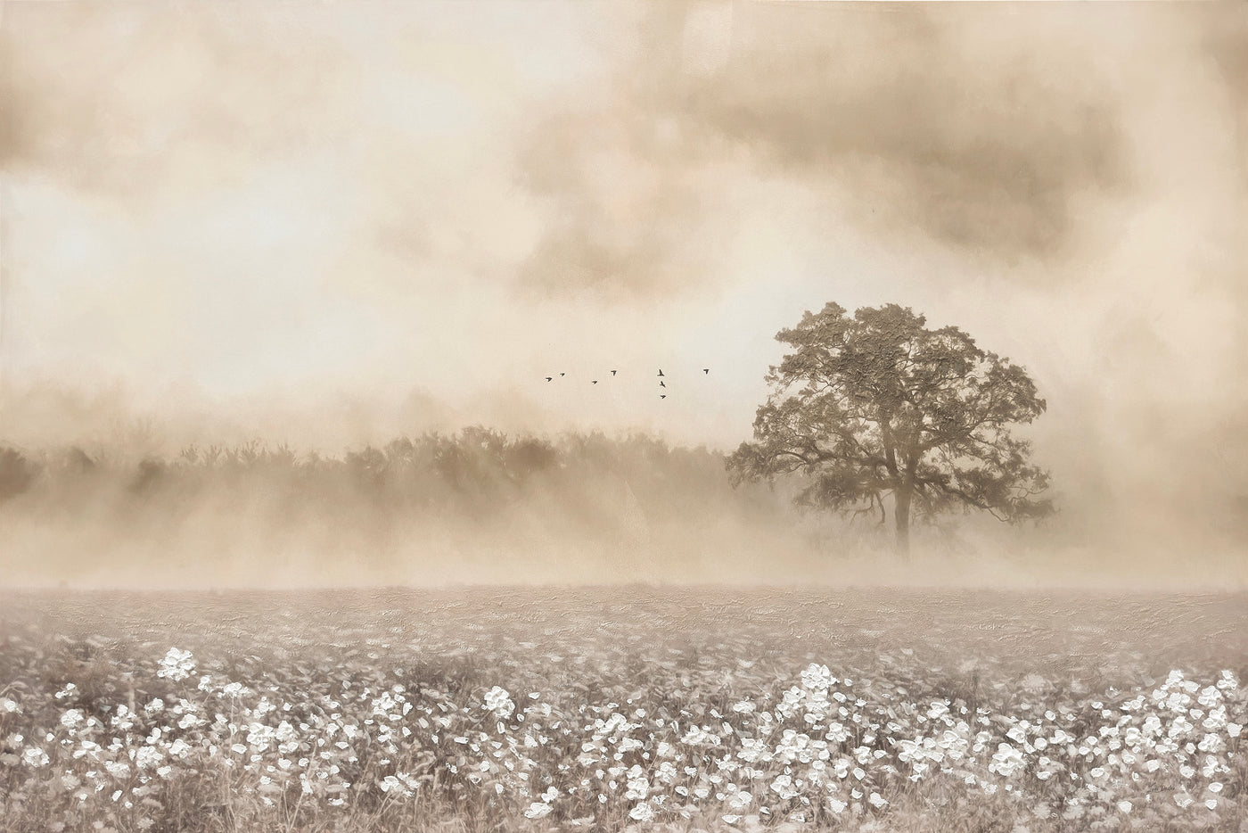''Whispering Dawn Cotton Field'' Hand-painted Wrapped Canvas