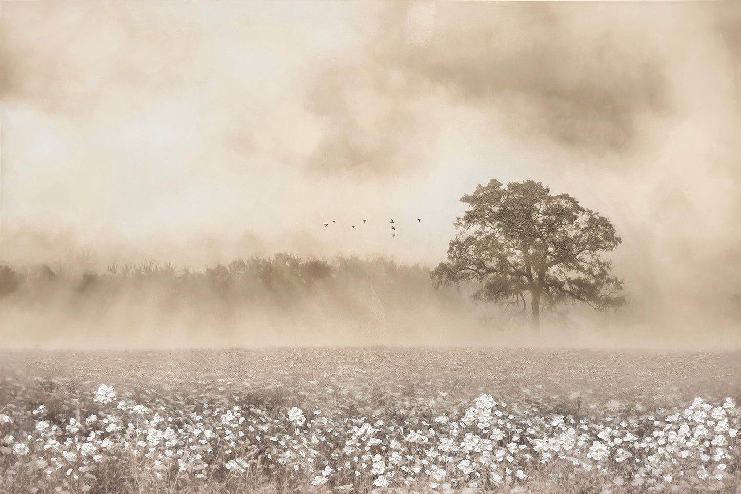 ''Whispering Dawn Cotton Field'' Hand-painted Wrapped Canvas
