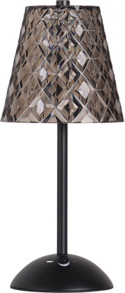 Crystal Radiance II Rechargeable LED Metal Accent Lamp (Case Pack 2)