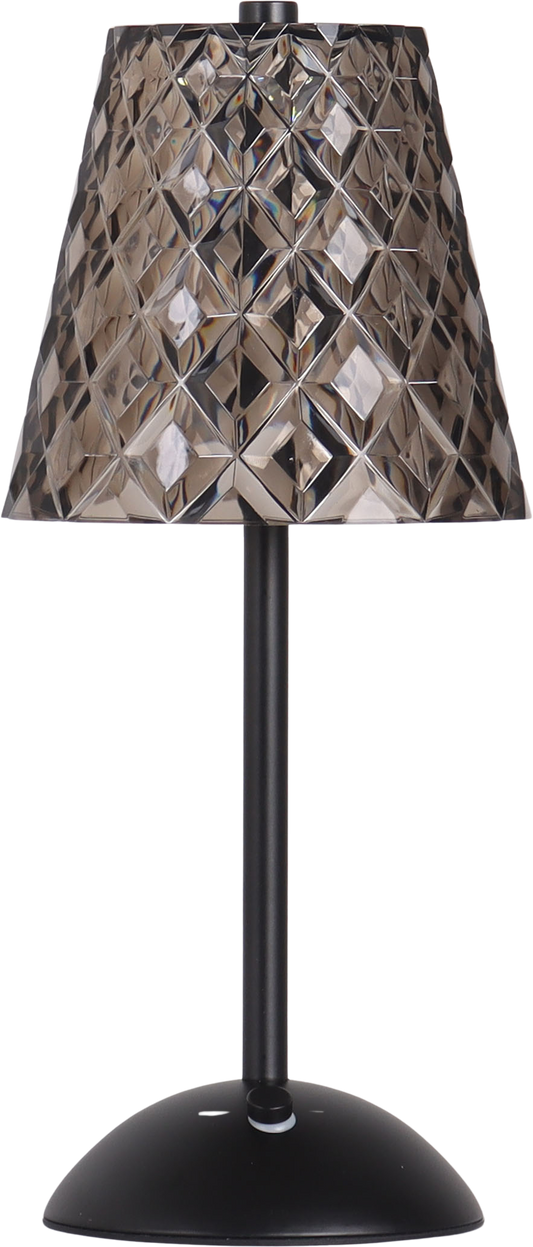 Crystal Radiance II Rechargeable LED Metal Accent Lamp (Case Pack 2)