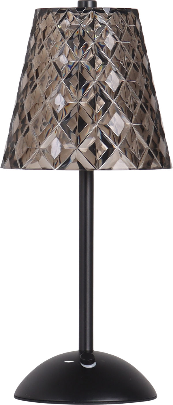 Crystal Radiance II Rechargeable LED Metal Accent Lamp (Case Pack 2)
