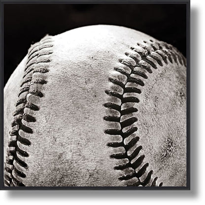 ''Black and White Baseball Close-Up'' Gloss in Frame