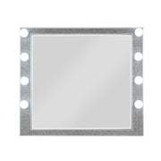 Sliverfluff 41"L x 36"H Rectangular Mirror with Light