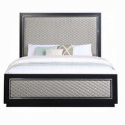 Cama Nicola Queen