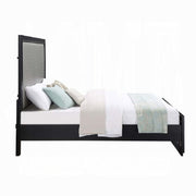 Cama Nicola Queen