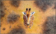 Savanna Gaze Hand-Embellished Canvas in Frame