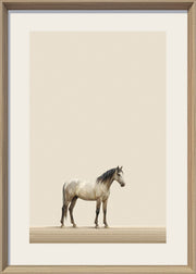 Quiet Stallion II Print on Paper in Frame