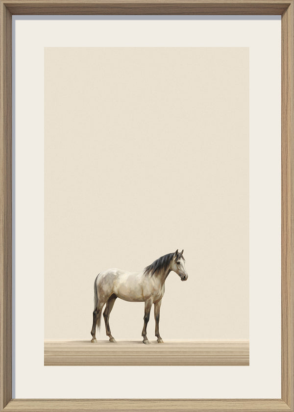 Quiet Stallion II Print on Paper in Frame