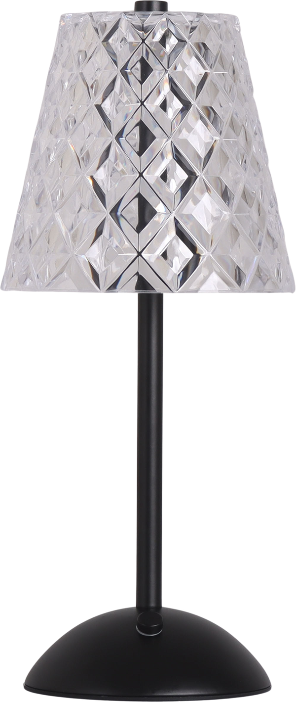 Crystal Radiance I Rechargeable LED Metal Accent Lamp (Case Pack 2)