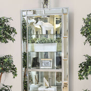 Chouteau Curio Cabinet
