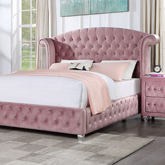 Zohar Bed