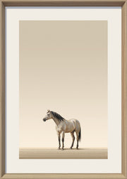 Quiet Stallion I Print on Paper in Frame