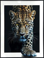 Midnight Stalker II Gloss Canvas w/Rocks in Frame