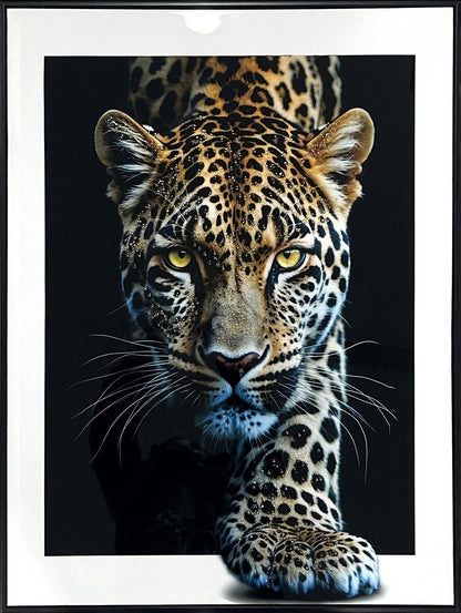 Midnight Stalker II Gloss Canvas w/Rocks in Frame