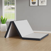 Hollyhock 3" Queen Tri-Fold Memory Foam Topper