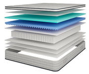Salvia 12" Queen Hybrid Pocket Coil Mattress