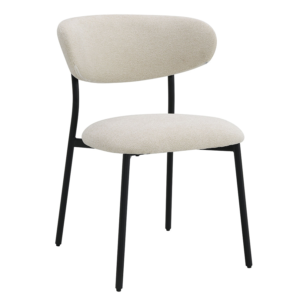 Jirina Side Chair (Set of 2)