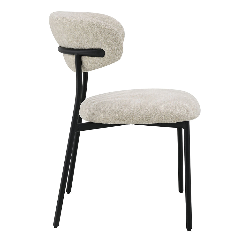 Jirina Side Chair (Set of 2)