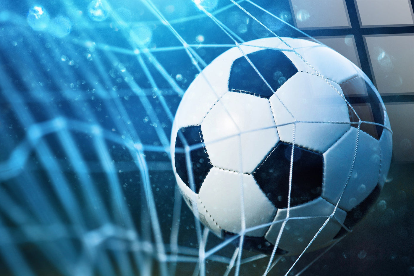 Netted Victory Tempered Glass