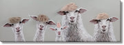 ''Sheep Salon: Eccentric Flock'' Hand-painted Canvas w/ Hair