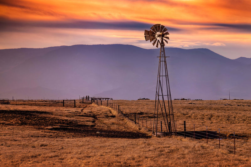 ''Windmill on the Prarie'' Tempered Glass