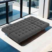 Naperville Futon Sofa