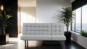 Naperville Futon Sofa