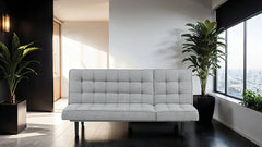Naperville Futon Sofa